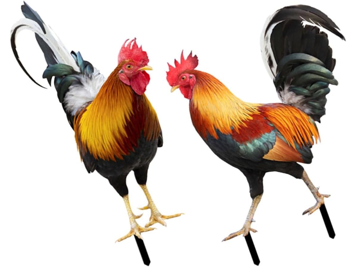 Juego De 2 Estacas Acrílicas Para Jardín Con Forma De Gallo En 3d