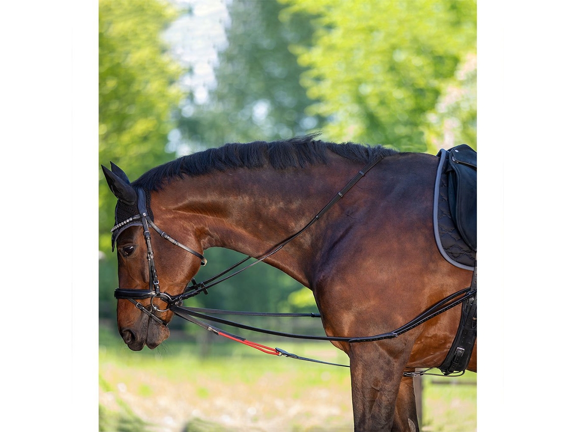 Rédeas Draw Castanho Ponywaldhausen