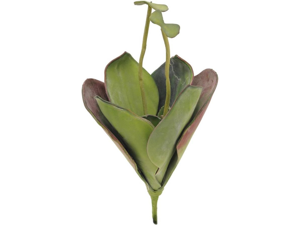Planta Artificial EUROPALMS Water Lily (Verde - 45 cm)