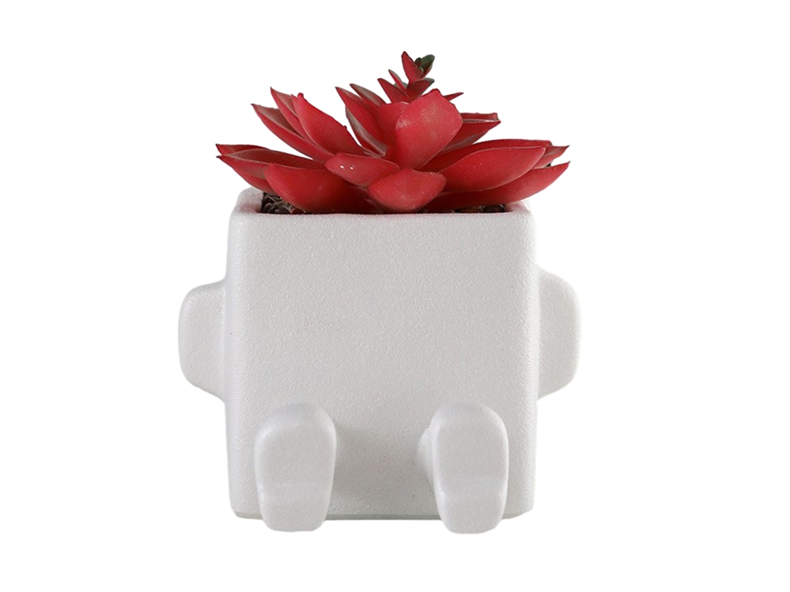 Maceta de cerámica Baok para suculentas: una hermosa maceta para plantas suculentas, ideal para la decoración de interiores y exteriores.