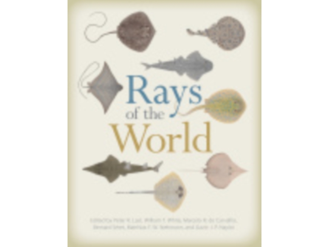 Libro Rays of the World (Inglés)