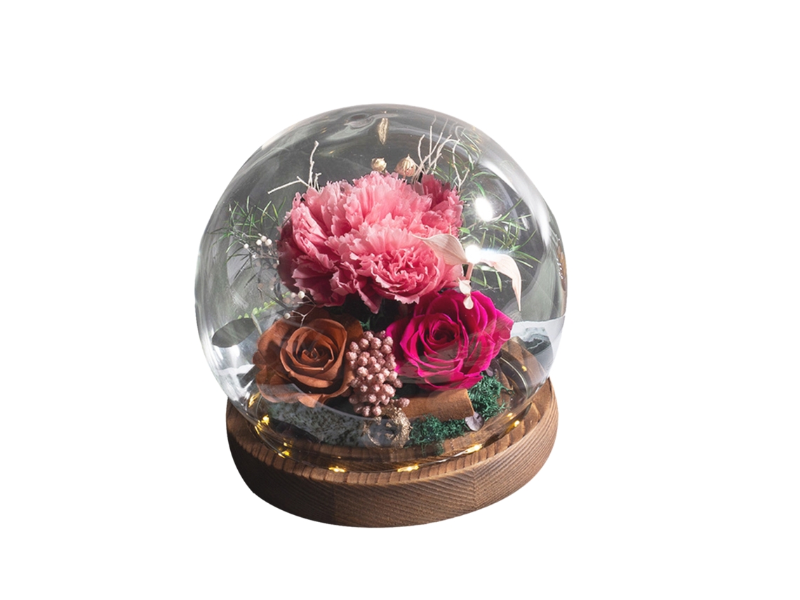 Rosa Eterna en Cúpula de Cristal, Flores Frescas Iluminadas, Regalo de Cumpleaños para Mujeres y Madres