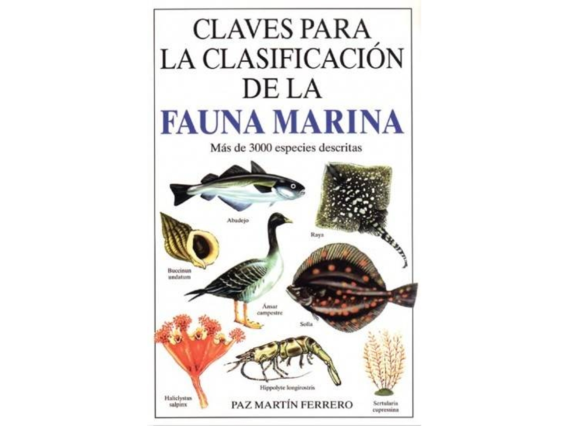 Libro Claves Para La Clasificación De La Fauna Marina de María Paz Martín Ferrero (Español)