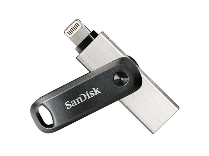 Pen Drive SANDISK SDIX60N-256G-GN6NE