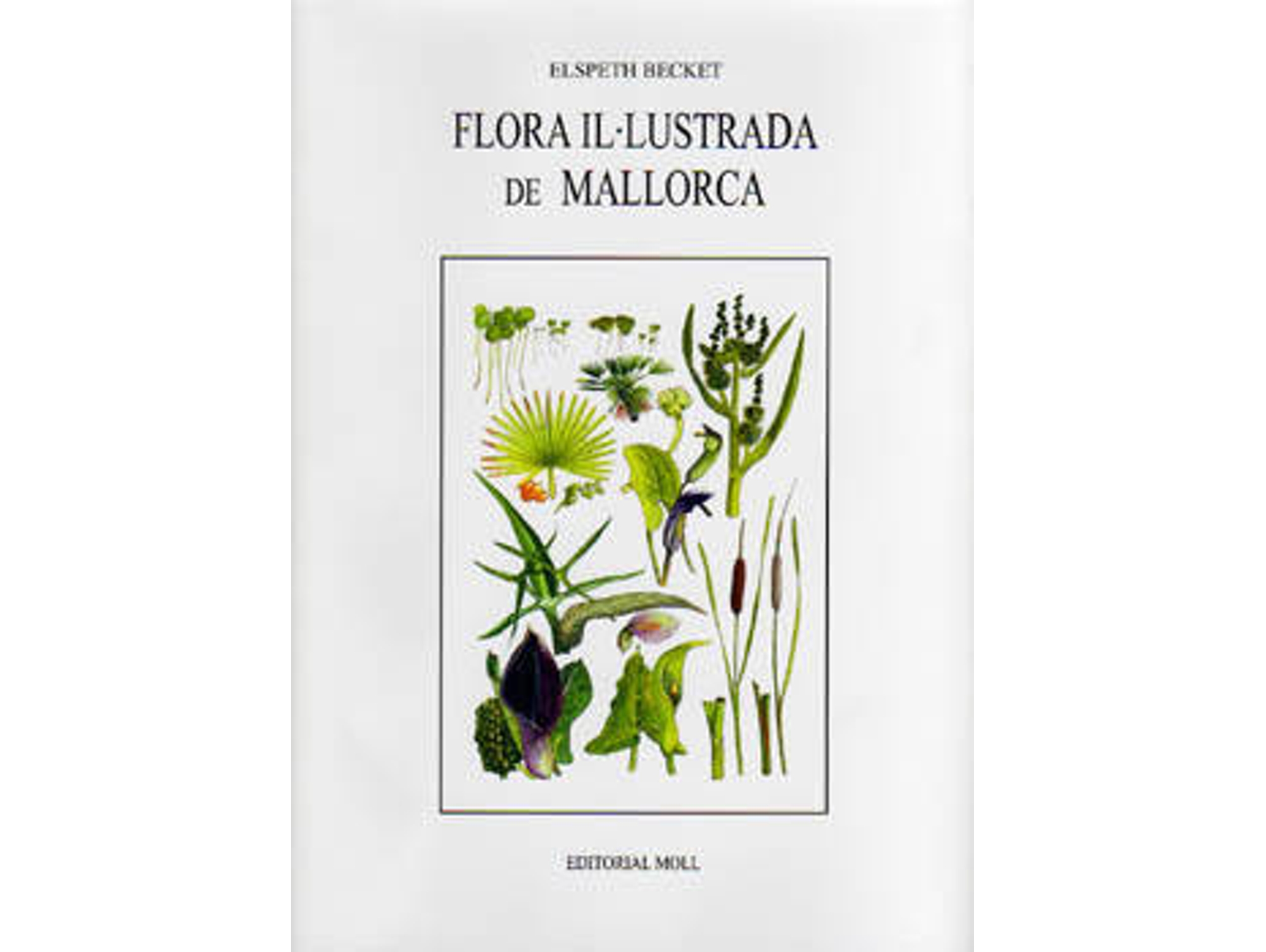 Libro Obres Completes Vol.2 Pere Capella de Pere Capella