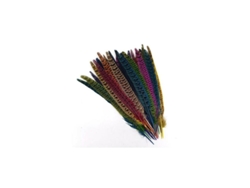2026-plumas De Cola De Faisán Natural Teñidas Para Decoración Artesanal Sombreros 25-30cm 10 Plumas Rojo