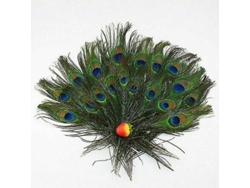2026-100 Plumas Cola Pavo Real Natural 10-12 Pulgadas Decoración Manual Calidad Alta Chk 10 Unidades