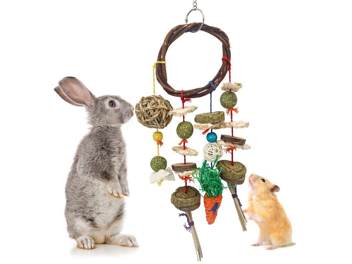 2026-46671-accesorios De Cuidado Dental Y Entretenimiento Para Mascotas Pequeñas Conejos Chinchillas Cobayas