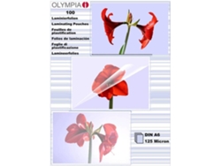 Fundas de Plastificar OLYMPIA 1x100 DIN 125 micron (100 un - A6)