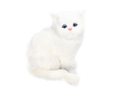 Lindo juguete de peluche blanco con forma de gato y batería de 84 mAh.