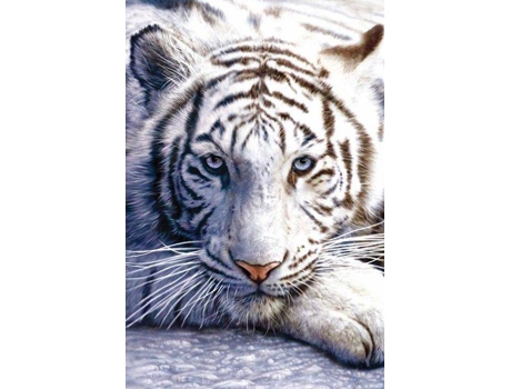 Póster GF Tigre de Bengala (61x91.5 cm)