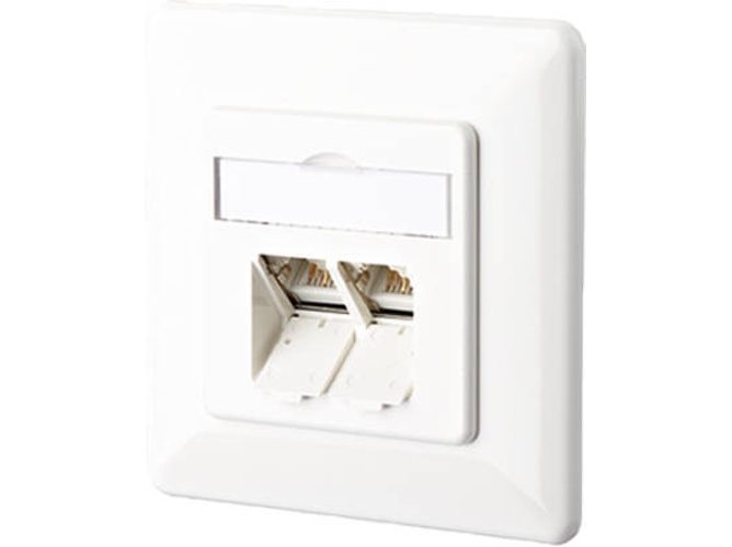 Toma de Red BTR NETCOM 130C381002-I (RJ45)