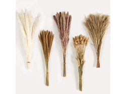 Hierba De La Pampa Seca Decorativa, 120 Piezas. Arreglos Florales Secos Para El Hogar, Bodas Y Fiestas De Estilo Bohemio.