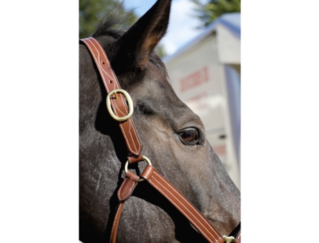 Cabezada de cuero para caballos T de T Trippled Stiched