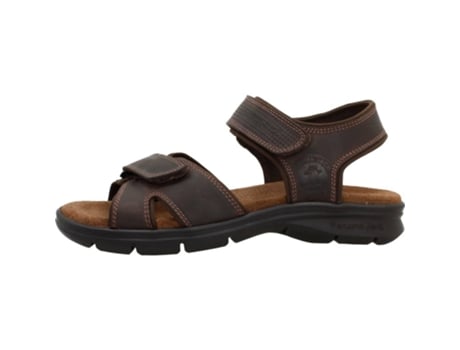 Zapatos de Hombre PANAMA JACK Sanders Basics Piel Marrón (44)