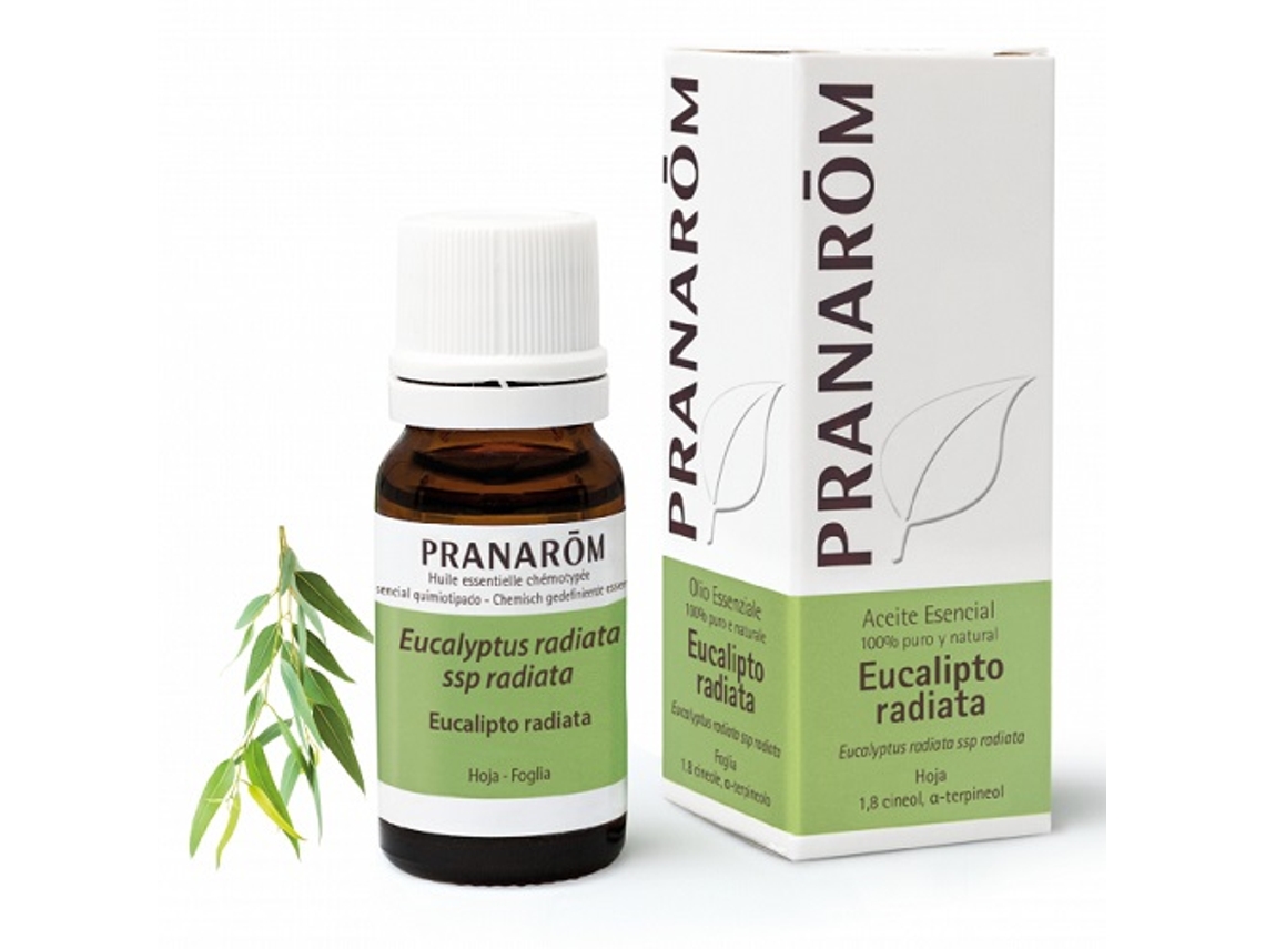 Aceite Essencial PRANAROM Eucalipto Radiata (10 ml de óleo essencial)