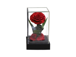 KOFIHETY Rosa Eterna Real Preservada en Acrílico Transparente para Ella - Día de San Valentín, Día de la Madre, Cumpleaños