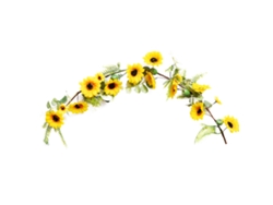 Viñedo de girasoles artificiales - Decoración campestre