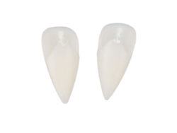 Protector Dental Falso Seguro Terror Fangs Para Cosplay