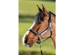 Cabezada de cuero para caballos HFI Two-Tone