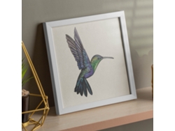Póster NACNIC Cuadrado con Dibujos de Pã¡Jaros. Colibrí, Ilustrada con Dibujos de Pajaros y Periquitos.