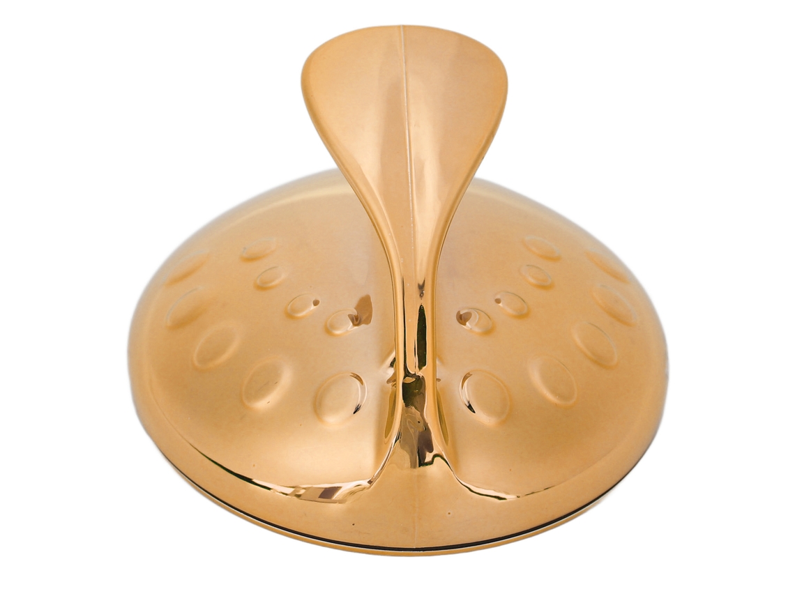 Eliminador De Pelo Físico Nano Exfoliante Para Piernas Brazos Espalda Piel Manual Oro
