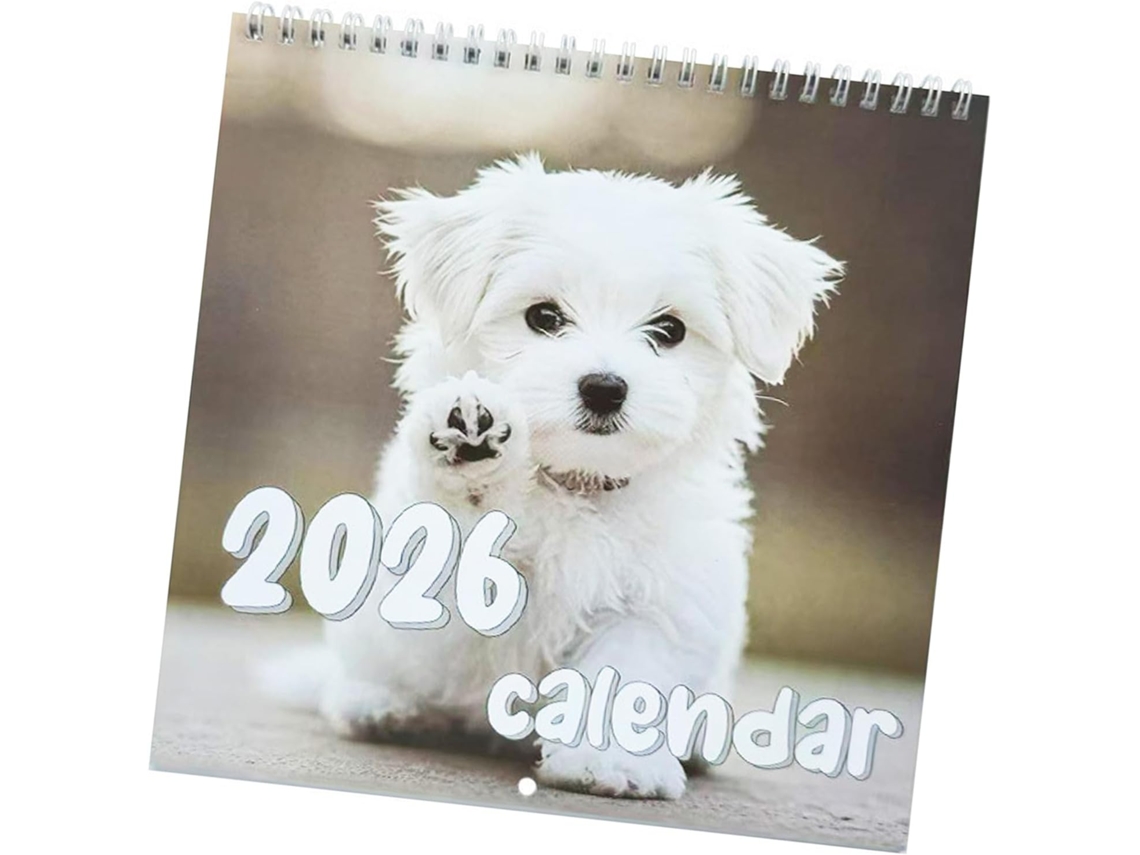 Calendario De Arte Moderno 2026 – Papel Creativo, Imágenes Coloridas