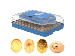 Incubadora de 70 huevos 3 en 1, incubación y eclosión, pantalla digital LCD, temperatura, humedad y días, control de humedad programable, giro automático.