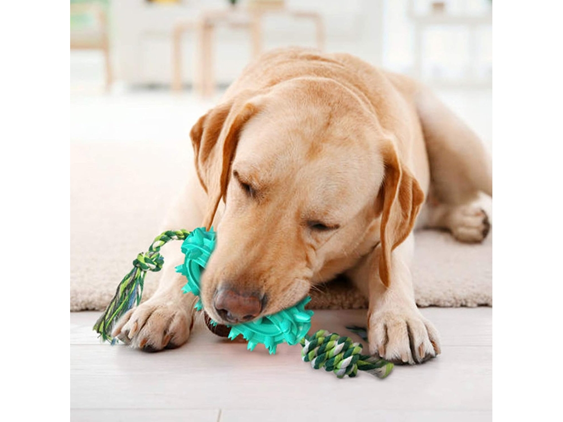 Juguetes interactivos para perros con ventosa para masticar