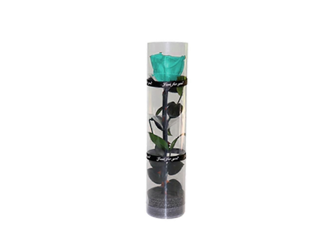 Omni-rosa Preservada Real, Rosa Eterna Con Tallos Y Hojas Reales, Flor Duradera Para Regalo Azul Lodo