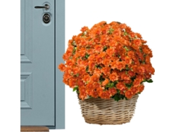 Crisantemos Artificiales - Paquete De 10 Flores Artificiales Resistentes A Los Rayos Uv Para Macetas De Exterior