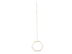 Marco De Cristal Hexagonal Geométrico Único Para Exhibir Flores Secas Y Ejemplares De Plantas.