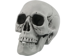 Decoraciones de calaveras para Halloween, maquetas de plástico, accesorios para fiestas, regalos divertidos, ergonómicas, para uso diario STELASPLEN