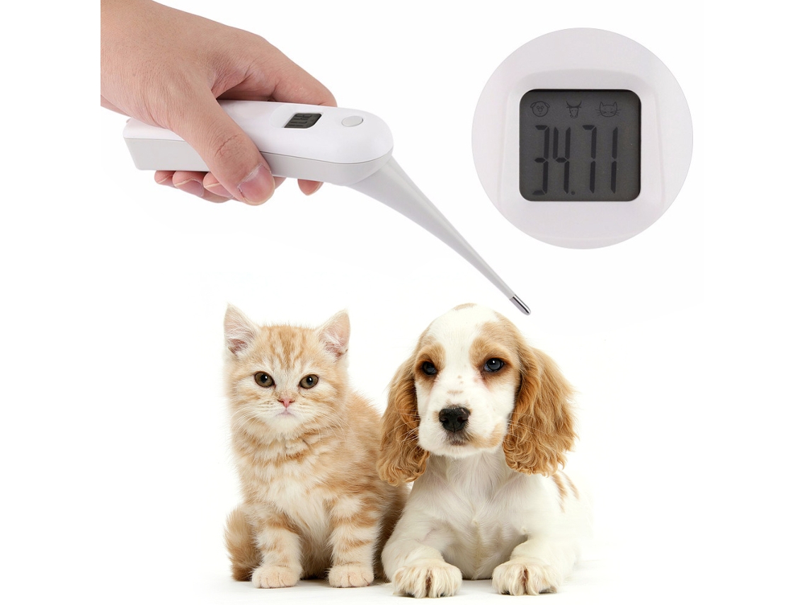 Termómetro Veterinario Digital Para Animales: Rápido, Preciso Y Seguro Con Señal Acústica.