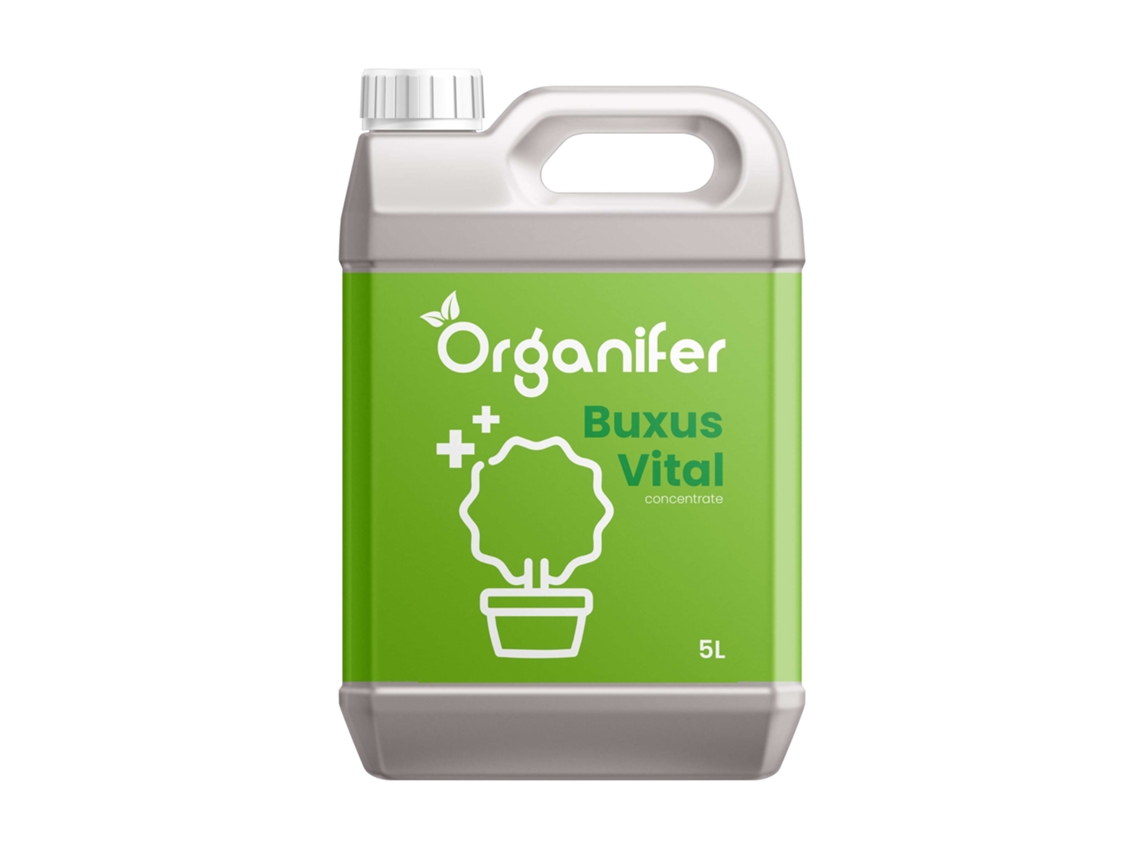 Buxus Vital 5 l - Concentrado para 500 metros de seto de boj - Organifer