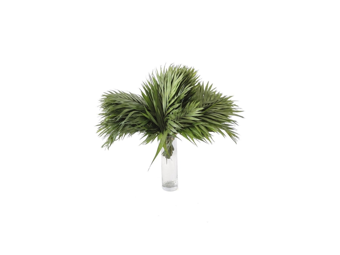 Chico Yumbo | Flor Natural | Ramo de 50 tallos | Verde | 50cm de alto
