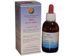 Complemento Alimentar HERBOPLANET Msa Ficus Carica Gemas (50 ml)