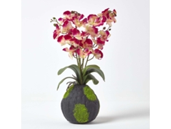 Orquídea artificial Phalaenopsis color crema y rosa de Homescapes con base natural, 60 cm de altura