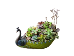 Maceta de Resina Hecha a Mano para Suculentas y Cactus con Pavo Real y Flor Decorativa Otro