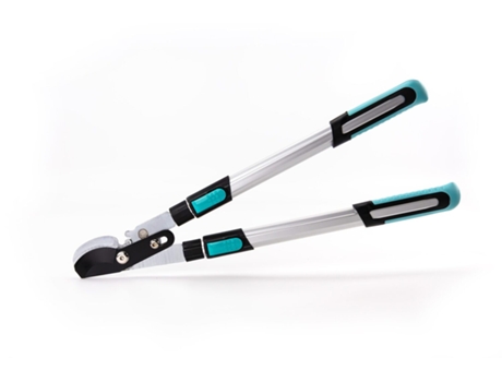 Franche Blade Branch - Suan - Mango telescópico - ergonómico y poderoso 88.5 x 29.5 x 3 cm Negro y plata TRENDYFLAIR