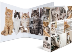 Carpeta HERMA 7166 (Multicolor - Cartón)
