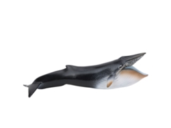 2026-modelo De Animales Marinos Simulación, Decoración De Escritorio, Juguete Educativo Para Niños Pl127‑1341