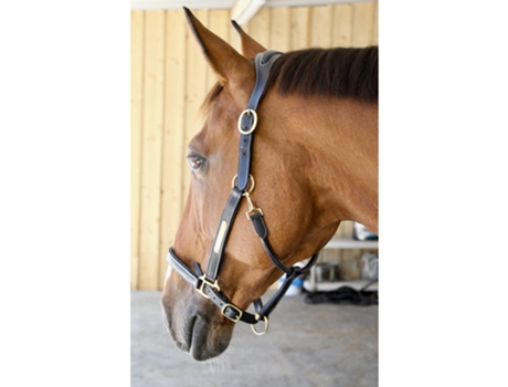 Cabezada para caballos con placa T de T