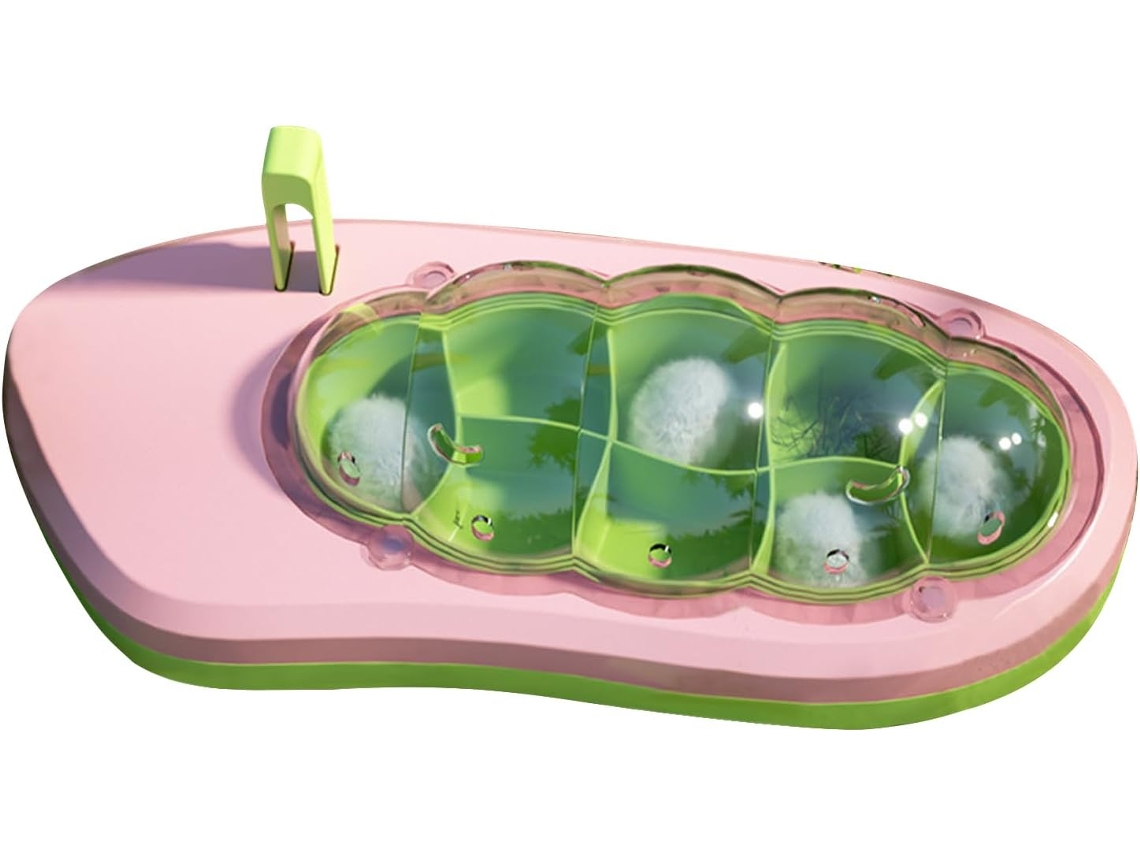 Incubadora Compacta Para Orugas - Animales Pequeños Niñas, Adolescentes Y Mujeres
