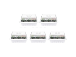Juego De 5 Bandejas Para Semilleros, Mini Invernadero Para Plantas, Con Tapa, Para Propagación En El Jardín.