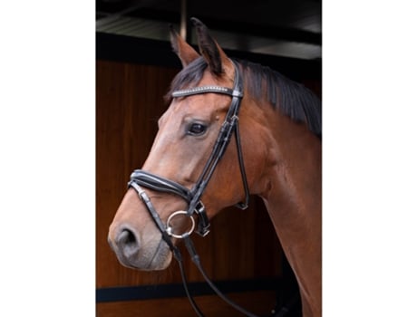 Cabezada de montar HARRY'S HORSE Rondgenaaid Lacque