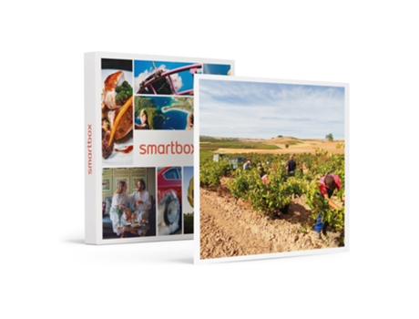 Caja Regalo SMARTBOX Bodegas Hesvera D.O. Ribera Del Duero: Visita a Bodega Y Cata de Vinos