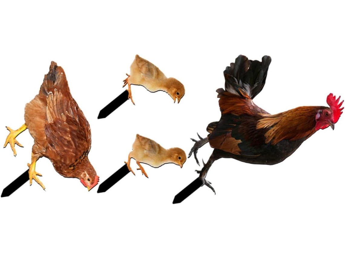 Juego De 4 Estacas Decorativas De Acrílico Para Jardín O Gallinero.