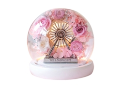 Decoración de flor eterna con rosa en cúpula de cristal en forma de noria con luz para regalos de cumpleaños y fiestas JEIIBRZUI