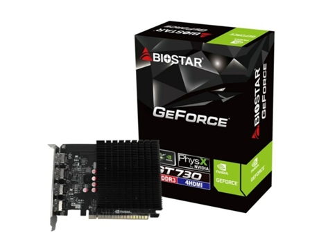 Tarjeta Gráfica BIOSTAR VN7313TG46 (GDDR3 - NVIDIA GeForce GT 730)